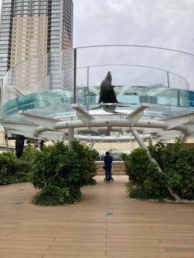 サンシャイン水族館に投稿された画像（2021/3/25）