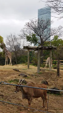 天王寺動物園に投稿された画像（2021/3/25）