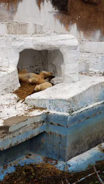 天王寺動物園に投稿された画像（2021/3/25）