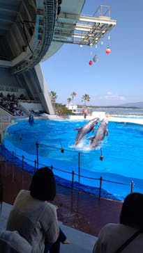 マリンワールド海の中道に投稿された画像（2021/3/25）