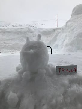 Hakuba47ウィンタースポーツパークに投稿された画像（2021/3/25）