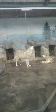 天王寺動物園に投稿された画像（2021/3/25）