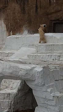 天王寺動物園に投稿された画像（2021/3/25）