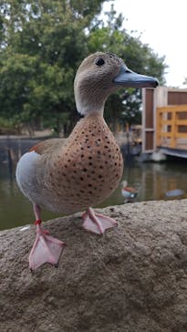 神戸どうぶつ王国に投稿された画像（2021/3/25）