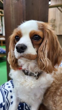 神戸どうぶつ王国に投稿された画像（2021/3/25）