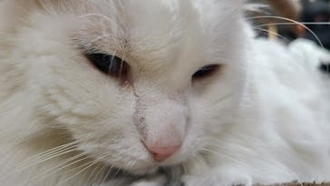 神戸どうぶつ王国に投稿された画像（2021/3/25）