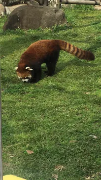 天王寺動物園に投稿された画像（2021/3/25）