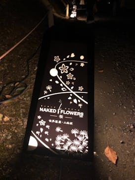 二条城×ネイキッド 二条城夏まつり2021に投稿された画像（2021/3/25）