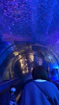 横浜・八景島シーパラダイスに投稿された画像（2021/3/25）