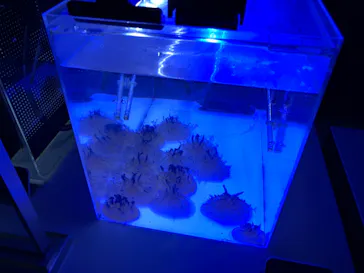 すみだ水族館に投稿された画像（2021/3/25）