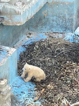 天王寺動物園に投稿された画像（2021/3/25）