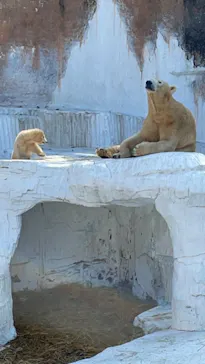 天王寺動物園に投稿された画像（2021/3/25）