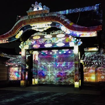 二条城×ネイキッド 二条城夏まつり2021に投稿された画像（2021/3/25）