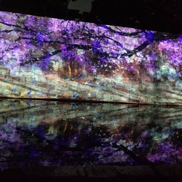 二条城×ネイキッド 二条城夏まつり2021に投稿された画像（2021/3/25）