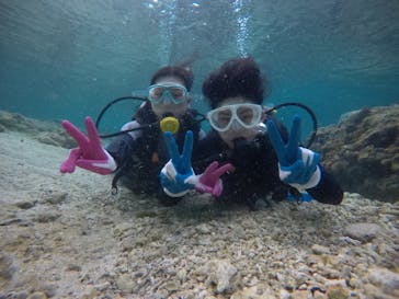 武藤潜水に投稿された画像（2021/3/26）