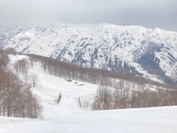 Hakuba47ウィンタースポーツパークに投稿された画像（2021/3/26）