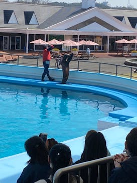 南知多ビーチランド＆南知多おもちゃ王国に投稿された画像（2021/3/26）