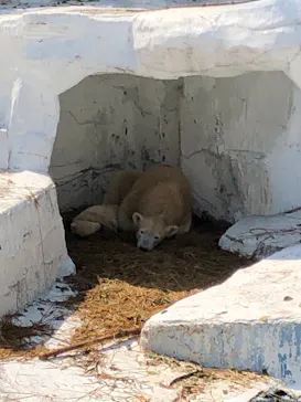 天王寺動物園に投稿された画像（2021/3/26）