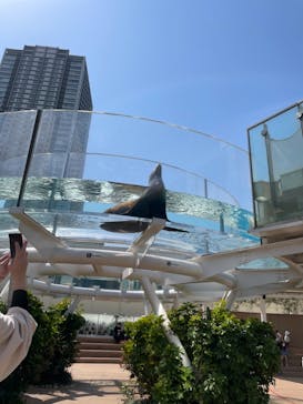 サンシャイン水族館に投稿された画像（2021/3/26）