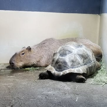 マクセル アクアパーク品川に投稿された画像（2021/3/26）