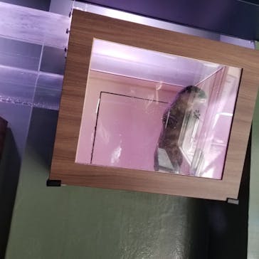 マクセル アクアパーク品川に投稿された画像（2021/3/26）