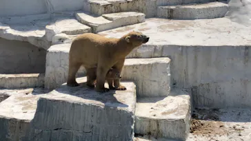 天王寺動物園に投稿された画像（2021/3/26）