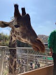 しろとり動物園に投稿された画像（2021/3/26）
