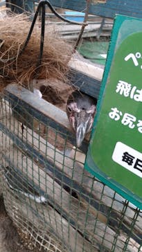 ゼロ距離水族館 伊勢シーパラダイスに投稿された画像（2021/3/26）