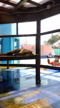 ゼロ距離水族館 伊勢シーパラダイスに投稿された画像（2021/3/26）