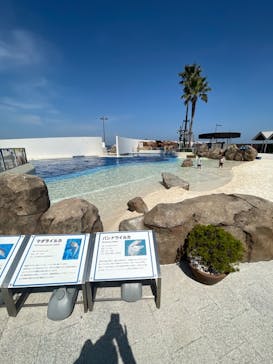 大分マリーンパレス水族館 「うみたまご」に投稿された画像（2021/3/26）