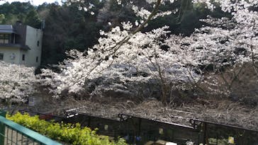 アソビュー株式会社　150881に投稿された画像（2021/3/26）