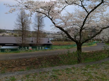 わんダフルネイチャーヴィレッジに投稿された画像（2021/3/26）