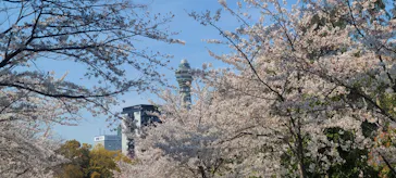 天王寺動物園に投稿された画像（2021/3/26）