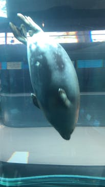 旭川市旭山動物園に投稿された画像（2021/3/26）