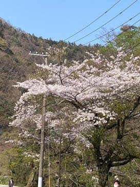 日帰り温泉湯の里おかだに投稿された画像（2021/3/26）