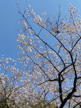 日帰り温泉湯の里おかだに投稿された画像（2021/3/26）