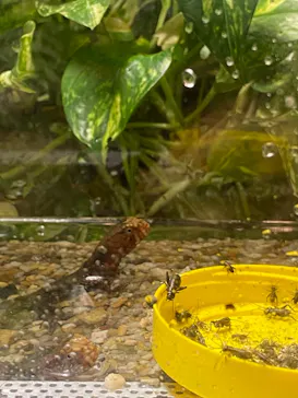 天王寺動物園に投稿された画像（2021/3/26）