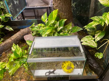 天王寺動物園に投稿された画像（2021/3/26）