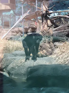 天王寺動物園に投稿された画像（2021/3/26）