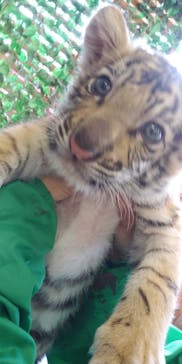 しろとり動物園に投稿された画像（2021/3/26）