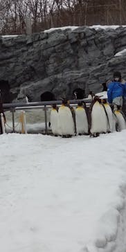 旭川市旭山動物園に投稿された画像（2021/3/26）