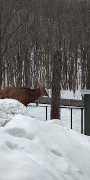 旭川市旭山動物園に投稿された画像（2021/3/26）