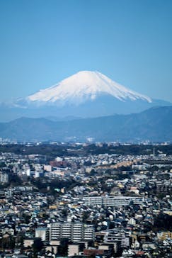 横浜ランドマークタワー 69階展望フロア スカイガーデンに投稿された画像（2021/3/26）