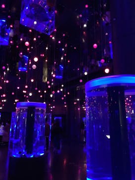 マクセル アクアパーク品川に投稿された画像（2021/3/26）