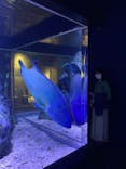 すみだ水族館に投稿された画像（2021/3/26）