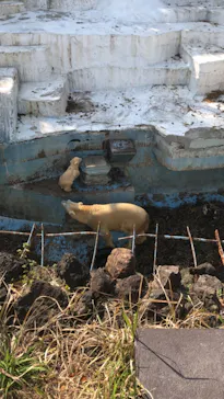 天王寺動物園に投稿された画像（2021/3/26）