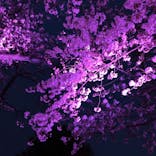 よみうりランド 遊園地に投稿された画像（2021/3/26）