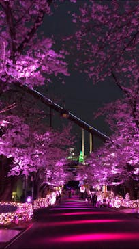 よみうりランド 遊園地に投稿された画像（2021/3/26）