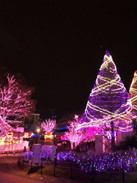 よみうりランド 遊園地に投稿された画像（2021/3/26）