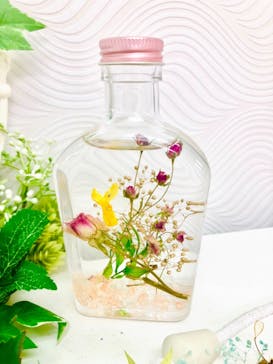 ずこうしつ〜sugamo〜に投稿された画像（2021/3/26）